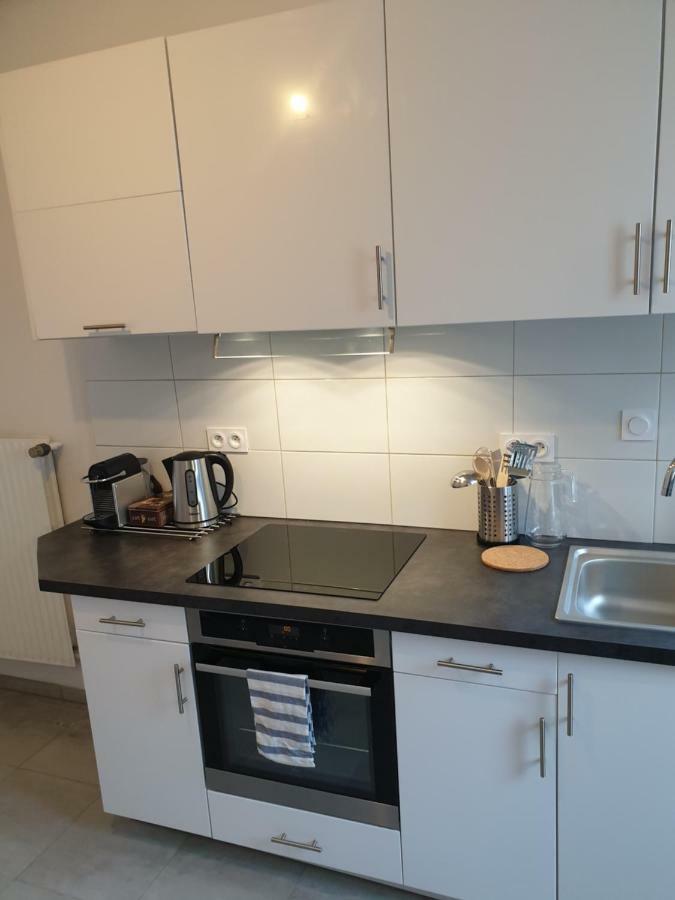 Strasbourg Centre Le 85, Superbe F5, 125M2, 5 Pieces Apartment Екстериор снимка