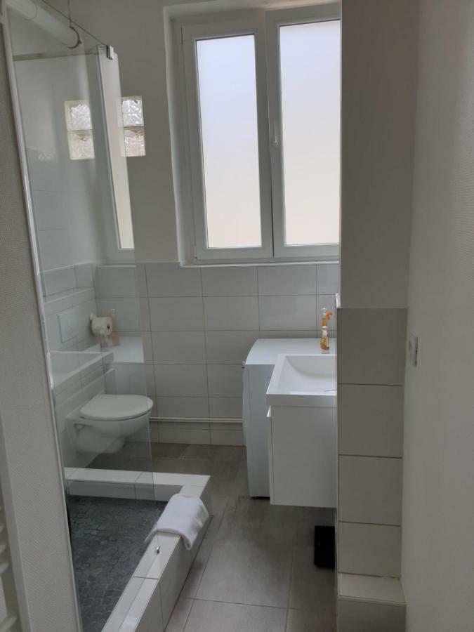 Strasbourg Centre Le 85, Superbe F5, 125M2, 5 Pieces Apartment Екстериор снимка